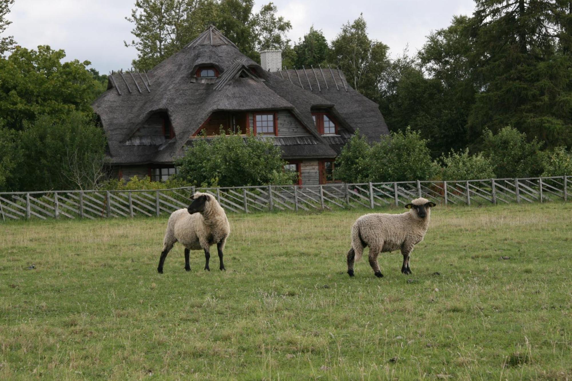 Hotel Toomalouka Tourist Farm Zewnętrze zdjęcie